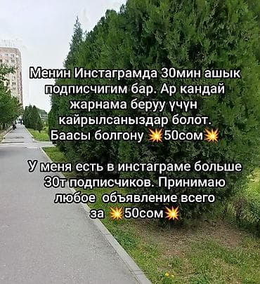 Принимаю любое объявление для инстаграм всего лишь за 💥50сом💥
