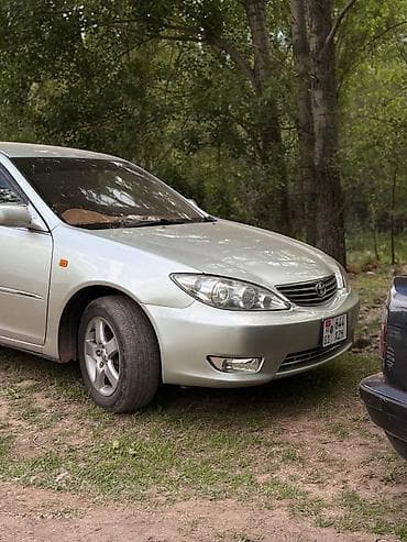 Toyota Camry: 2005 г., 2.4 л, Автомат, Газ, Седан