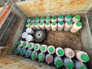 куриная грудка цена за 1 кг бишкек: Продаётся горный,натуральный мёд❗️❗️❗️ оптом/розницу — 2