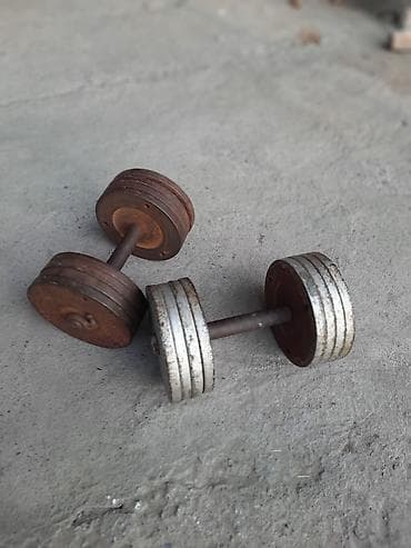 Электротранспорт: Пара разборных гантелей из металла. - Материал: сталь/чугун, наборные — 2