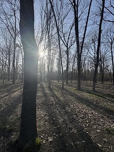 с ленинское дом: 2 комнаты, 65 м², Элитка, Готовая ПСО (под самоотделку) — 4