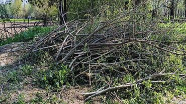 бишкек отун: Отун Терек, Өзү алып кетүү — 7