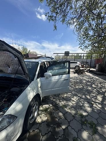 бензиновый моторолер: Honda Odyssey: 2002 г., 2.2 л, Автомат, Бензин, Минивэн — 3