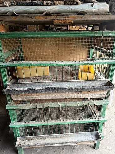 клетки для перепелок: Многоярусная клеточная батарея для птицы/кроликов - Конструкция на — 2