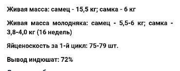 охотничая парода: Продаю | Индюшата | Полукровка | Для разведения | Племенные — 4