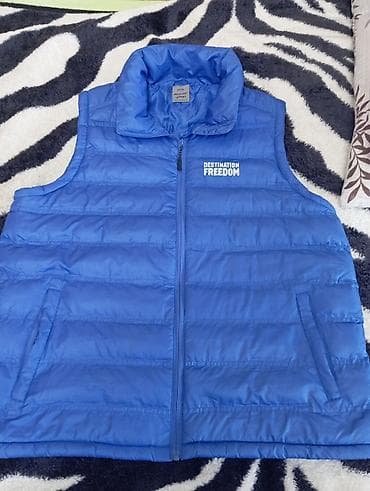 tech flis: Жилетки утеплённые — набор 1) Мужская/подростковая пуховая жилетка — 1