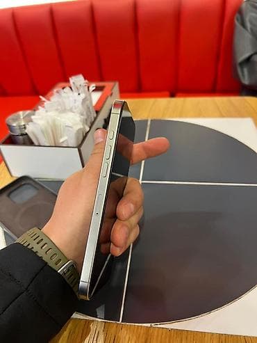 ipone 13 pro max: IPhone 13 Pro, 512 ГБ, Серебристый, Чехол, 91 % — 4