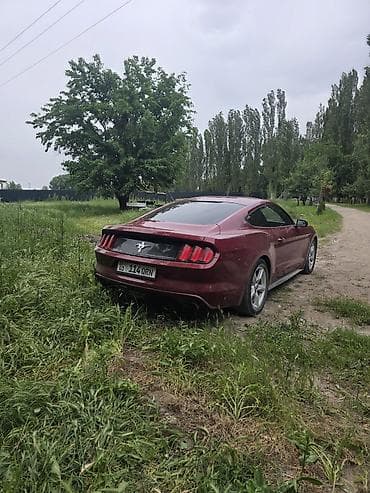 утиный хвост: Ford Mustang: 2017 г., 3.7 л, Автомат, Бензин, Купе — 6