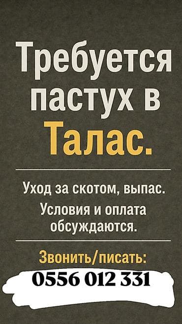 Требуется Пастух