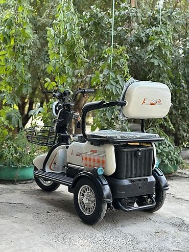 скутр электро: Электрический трёхколёсный скутер (трицикл) - Устойчивая трёхколёсная — 4