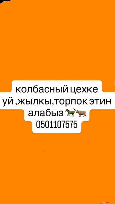 Закупка мяса для колбасного