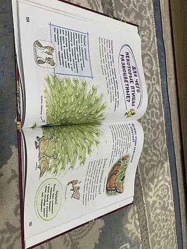 гитара для начинающих цена: Новая!📍👆Книга: «Моя школьная энциклопедия» - Издательство: Росмэн — 3