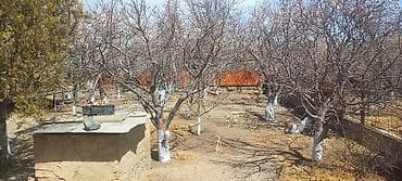 участок ивановка: 9 соток — 5