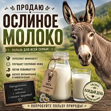 кой союш: Ослиное молоко свежее 1 литр 300 сом — 1