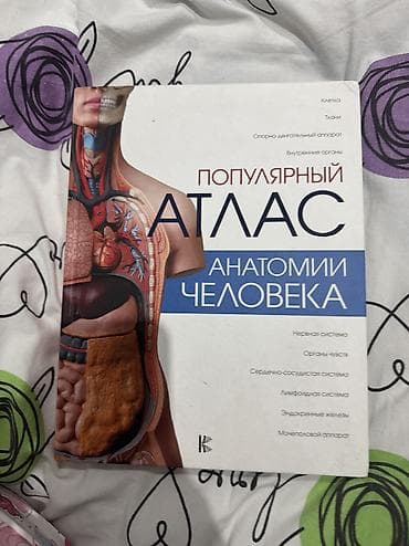 local guide program: Подойдет для базового изучения — 1