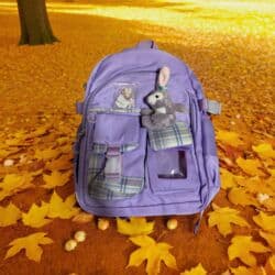 сумка для школы: Продаются ортопедические водоотталкивающие детские рюкзаки. Есть — 4