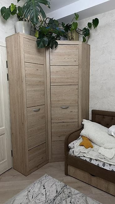 фото обои 3д для зала в бишкеке: Шифоньер, шкаф для одежды, Угловой, ЛДСП — 4