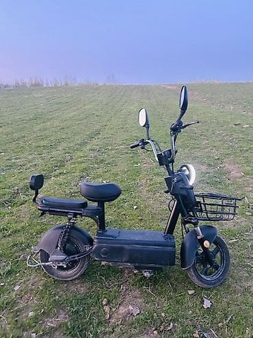 Электроскутер городского типа (двухместный) Описание и оснащение: -