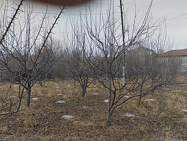 полевная земля: 8 соток, Для строительства, Красная книга — 1