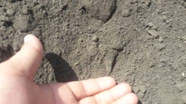 услуги газона: Чернозём КАМАЗ 

кара топырак 
Услуга камаза Щебень Отсев Песок Глина — 3