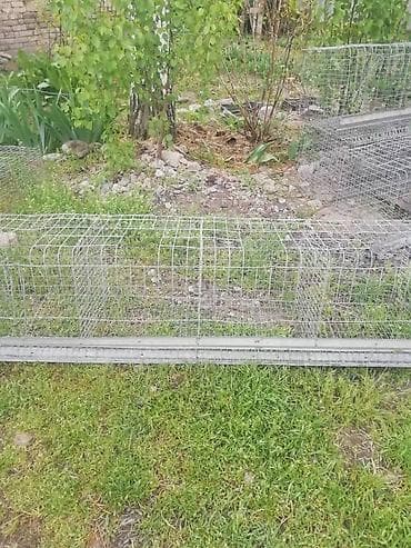 клетки для кур: Продаю 5-секционные клетки для содержания кур/кроликов и т.д цена — 4