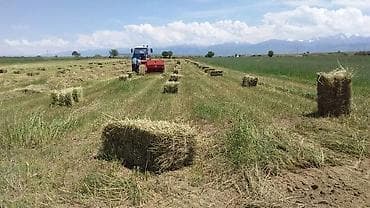 2000 соток, Для сельского хозяйства, Договор купли-продажи