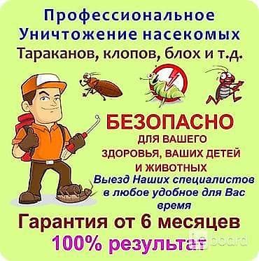Профессиональное уничтожение насекомых - Борьба с тараканами — 1