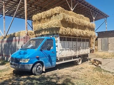 Продам салому очень хороший чистый и плотный из поля цена 40сом адрес