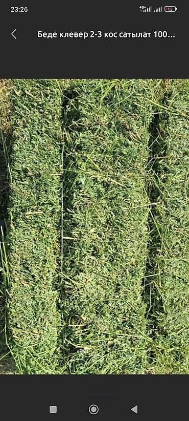 чоп беде сатылат: Чоп сатылат таптаза 3чабык беде доставка менен озубуз апарып жыйнап — 2