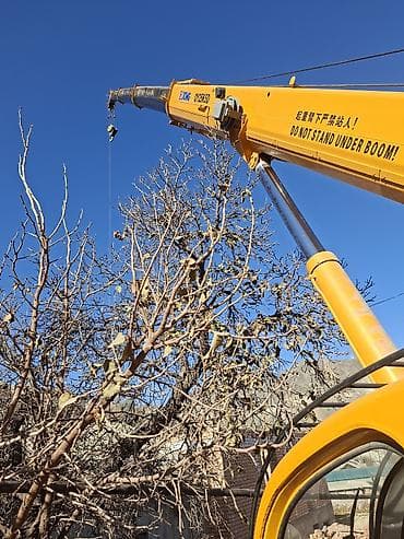 компрессор продаю: Стрела 39 м, 25 т — 2