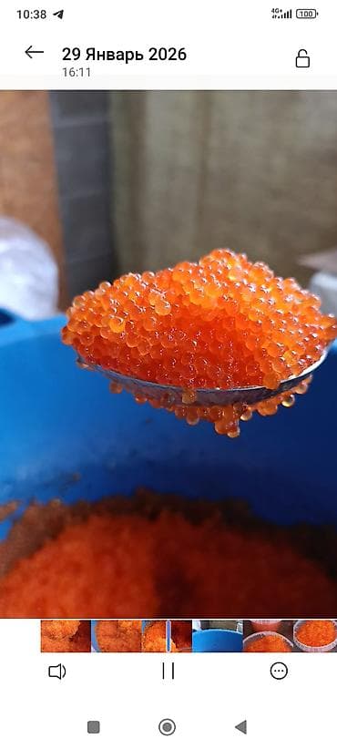 Мёд: В продаже икра форели 3300с кг икру мягкая слабосоленая,не жидкая — 1