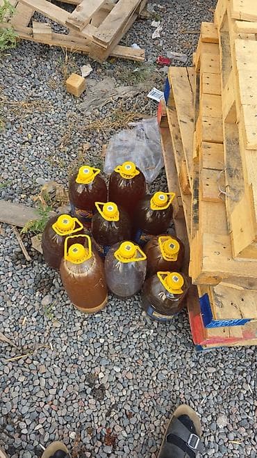 шкаф офисные: КЫМБАТ БААДА ШАУРМА ЖАНА ФРИТЮРНЫЙ КОЛДОНУЛГАН МАЙ АЛАБЫЗ ОЗУБУЗ АЛЫП — 3