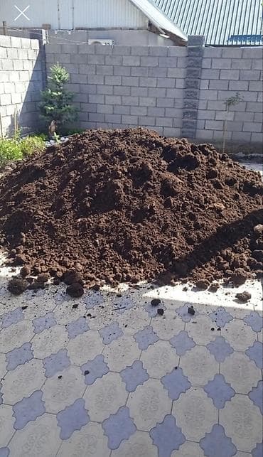 купить навоз бишкек: Перегной доставка по городу Бишкек — 2