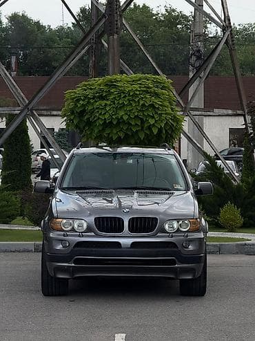 byd 5: BMW X5: 2005 г., 3 л, Автомат, Бензин, Кроссовер — 4