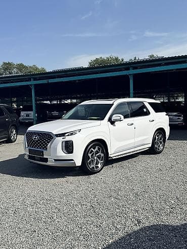 Hyundai Palisade: 2020 г., 2.2 л, Автомат, Дизель, Внедорожник