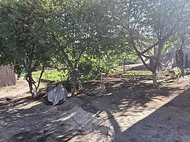 барачные дома: 1000 м² — 8