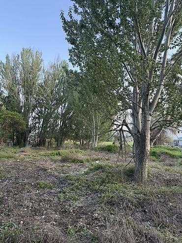 продаю гараж кант: 10 соток, Для строительства — 3