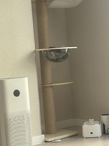 Напольная потолочная когтеточка-турникет для кошек с многоуровневой