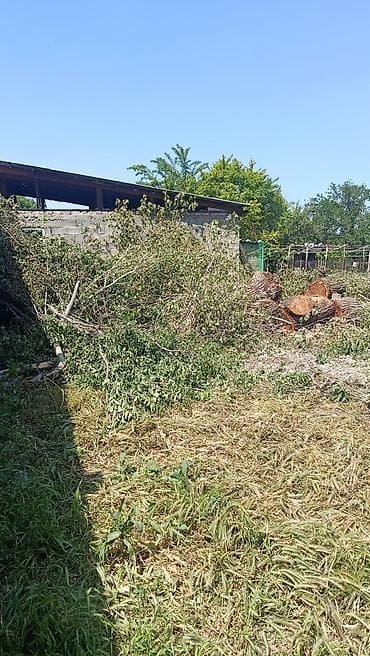 уголь ивановка: Дрова бесплатно, самовызов новопокровка — 1