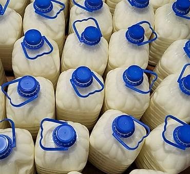 ослинное молоко: Домашнее молоко, сметана, сары май, кымыз (Бишкек) Описание — 5