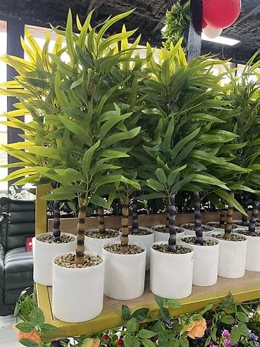 горшки: Искусственные комнатные растения в кашпо - Разнообразные модели — 2