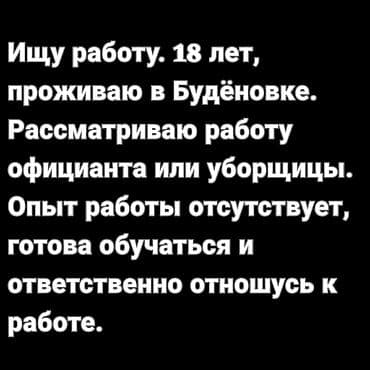 Официант. Без опыта