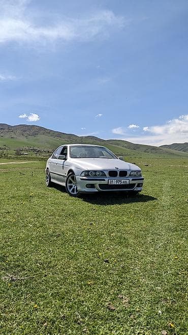 BMW: BMW 5 series: 2002 г., 3 л, Кол менен иштөөчү, Бензин, Седан — 7