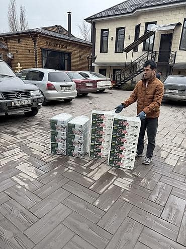 туалетная бумага китайская: Бумага, Новый, Платная доставка — 2