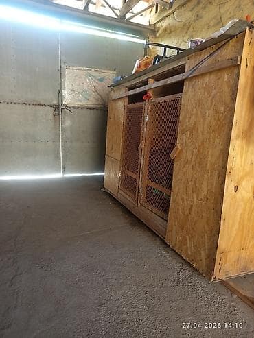 маскитная сетка ош: Деревянный вольер/клетка для продаю срочно животных и птицы из ОСБ - — 5