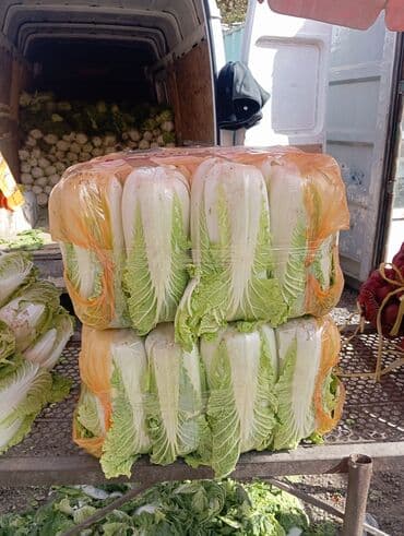 купить свежую капусту: Капуста Пекин, Дүңүнөн — 1