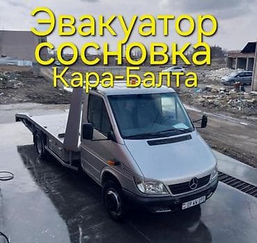 скрытие замков: С лебедкой — 1