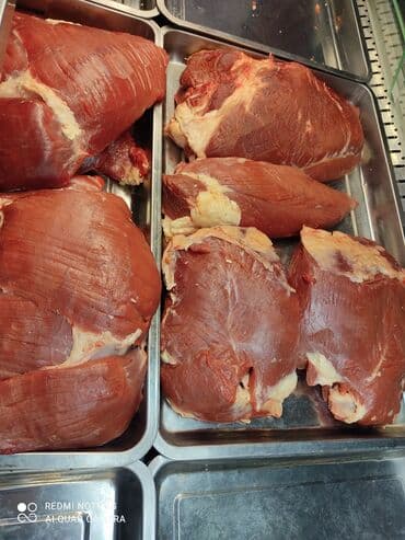 цена на мясо в бишкеке сегодня говядина: МЯСО Говядина! Халал 100% принимаем заказы — 2