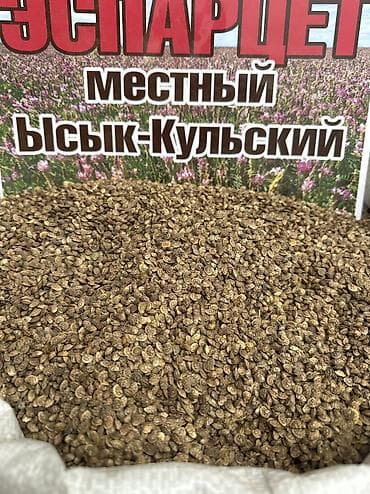 Семена и саженцы: Эспарцет уруктарды сатабыз — 3