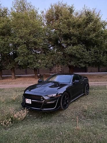спойдер: Ford Mustang: 2020 г., 2.3 л, Автомат, Купе — 5
